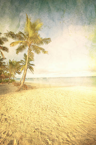 istock Coconut tree on the sky background. Retro styled picture 2224489698