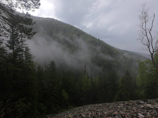istock Foggy Forest Slope in Carpathians 2224494736