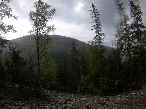 istock Rocky Slope Leading to Forested Mountains 2224495513