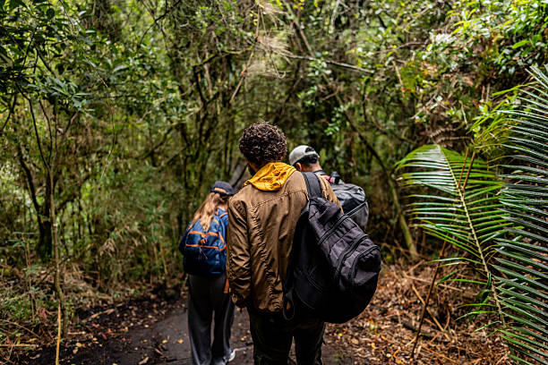 istock Friends hiking through the forest 2224495877