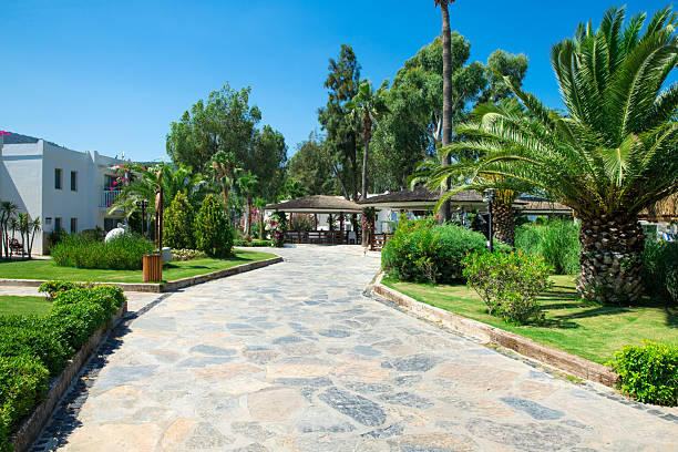 istock landscape garden hotel resorts Turkey beautiful tree palm 2224497621