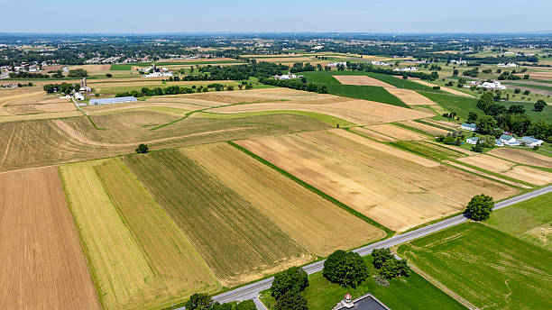 istock Expansive Farmland Landscape Featuring Green and Golden Fields Under a Clear Blue Sky 2224498876