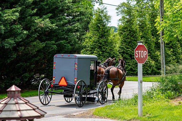 istock Horse-drawn Carriage Approaching Stop Sign on Rural Road 2224498939