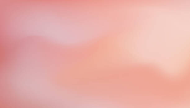istock Pastel peach pink vector background. Delicate colors of blooming sakura. Banner with place for text 2224499232
