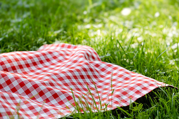 istock Red checked cloth on grass, checkered picnic towel empty space food advertisement design. 2224499282