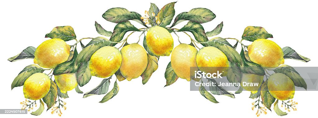 Horizontal Lemon Horizontal Border Of A Lemon Fruit Branches Inspired By Mediterranean ...