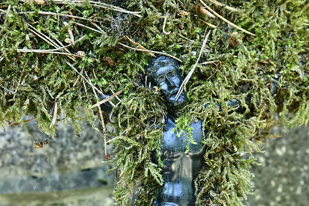 Close-up of a moss-covered metallic cross embedded in a stone wall.A Study in Texture and Nature