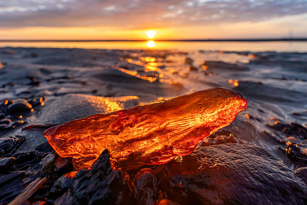 istock amber in the mudflats at sunset 2224508536