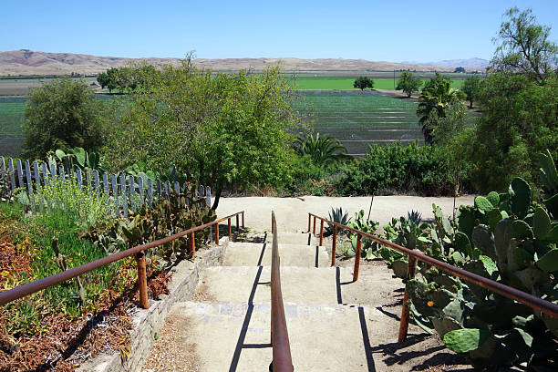 Stairs over the San Andreas fault