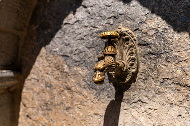 Brass water spout featuring animal design is mounted on a textured stone wall outdoors.