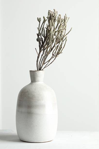 istock Stylish vase with brunia plants on white table 2224512572