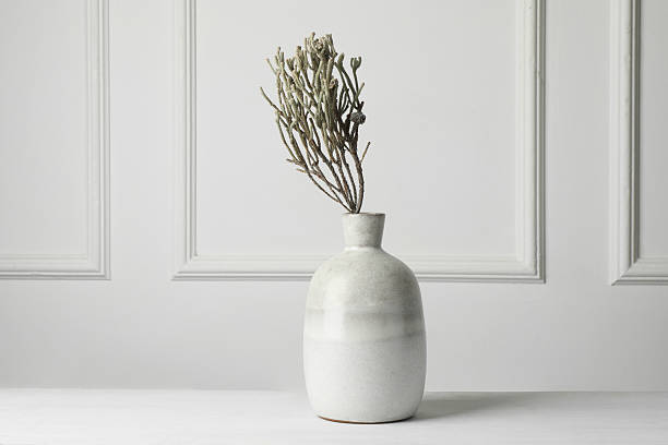 istock Stylish vase with brunia plants on white table 2224512704