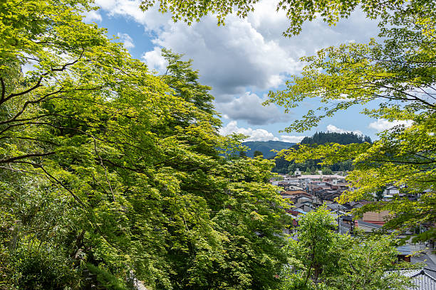 Lush green trees frame a panoramic view of Takayama city nestled between distant mountains under a partly cloudy summer sky. Japan