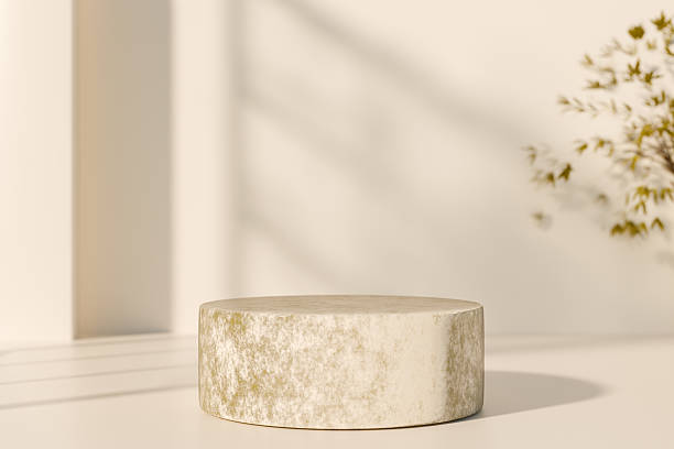 istock Minimalist beige textured podium in soft natural light with subtle shadows and plant decor. 3d rendering 2224514223