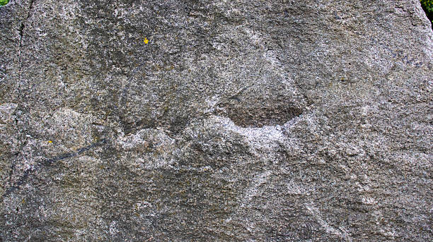 Ancient petroglyphs etched into weathered stone, depicting historic narratives and cultural expressions of a bygone era