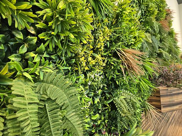 istock Lush Green Vertical Garden with Various Plants and Foliage Textures 2224516841