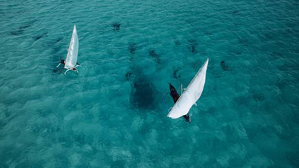 istock Dhow sailboats on turquoise waters 2224518290