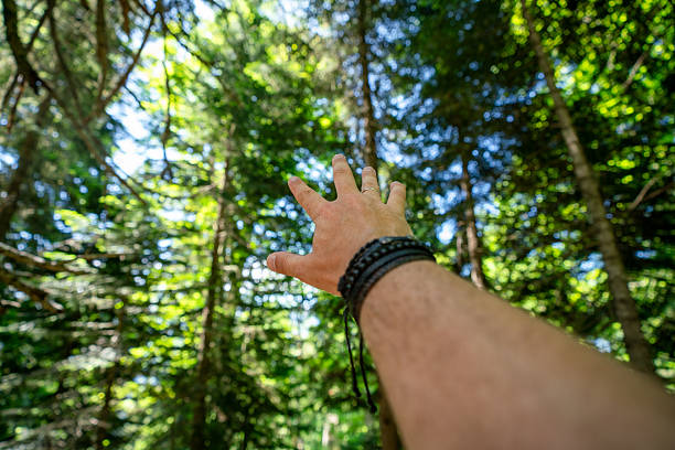 Hand up to the light, feeling of hope, worship, and prayer
