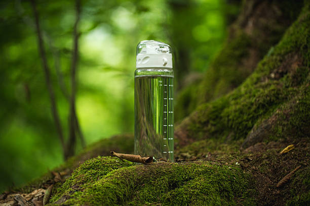 istock Clear Water Bottle Placed on Mossy Forest Floor Surrounded by Lush Greenery 2224524603