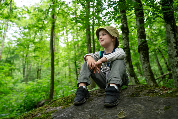 istock Smiling Young Boy Sitting on a Mossy Rock in a Lush Forest 2224524721