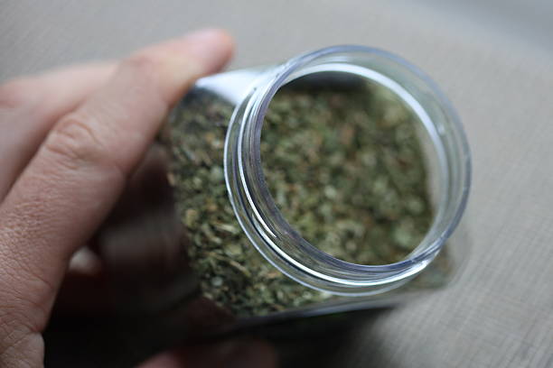 A person's hand holding a jar filled with dried herbs, possibly for medicinal or cooking purposes.