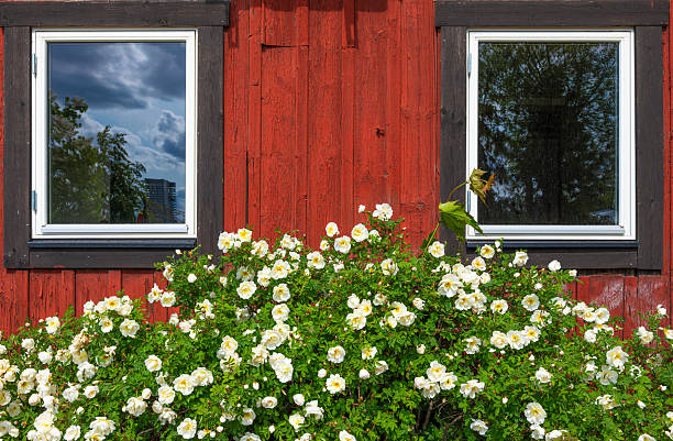 Exterior wood wall with with painted white framed window