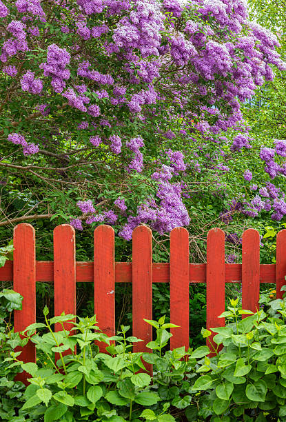 Close up blue wooden fence over sunny blue clear sky with white clouds