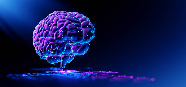 istock Human Brain - Futuristic Concept of Intelligence, science and mind 2224526935