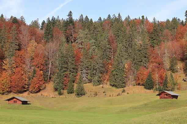 Oktober 15, 2024, Wallgau: Impressions in autumn from the municipality of Wallgäu in the Karwendel Mountains in the Bavarian Alps