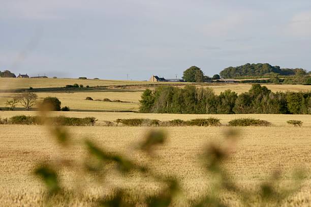 istock Countryside view over harvested fields in early evening light 2224528979