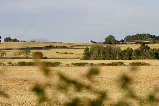 istock Countryside view over harvested fields in early evening light 2224528980