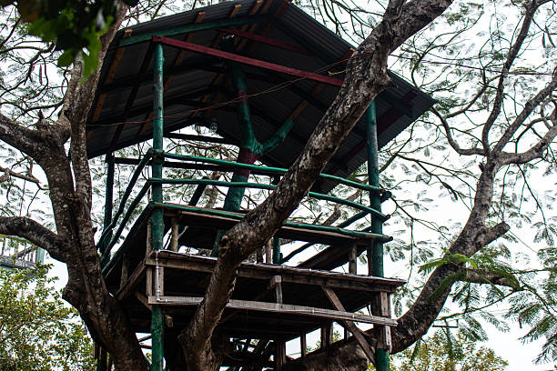 istock Eco-friendly treehouse in mountain jungle. 2224529583