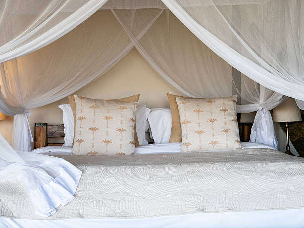 istock Luxury suite at Elewana Meru National Park 2224531044