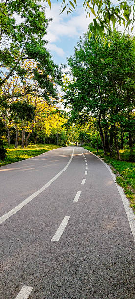 istock Road with sunlight and green trees 2224534467