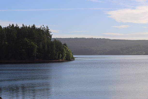 istock View across a lake surrounded by forest in summer 2224540205