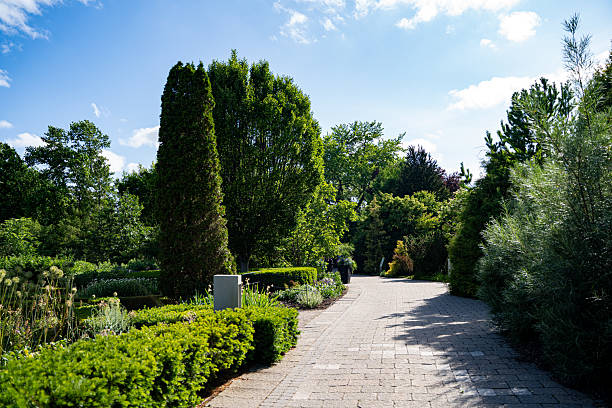 istock View of Edwards Gardens Park in Toronto. 2224541592