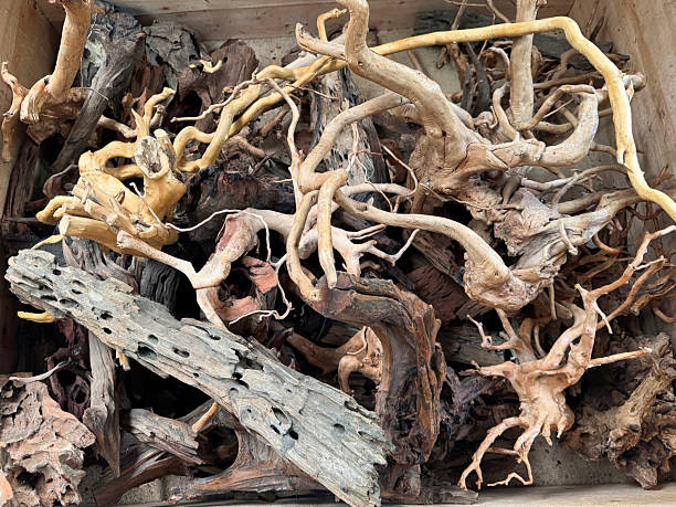 istock Image of aquarium bogwood display with dried tree roots and branches for aquascaping 2224545785