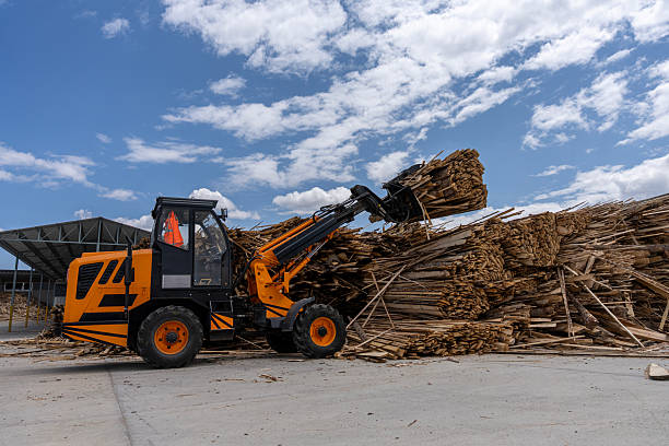 A bright orange industrial loader is seen transporting large bundles of wood at an outdoor lumber processing facility.