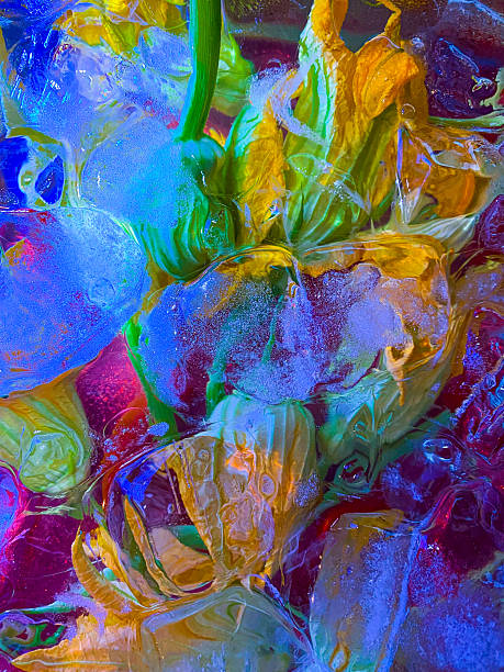 Beautiful multi coloured frozen flowers