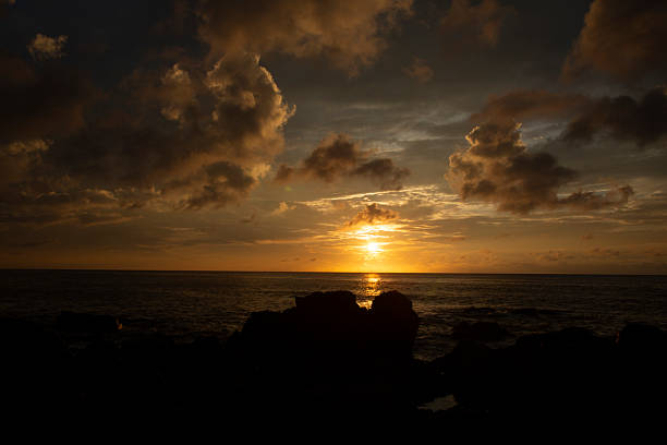 Summer scenery of Amami Oshima