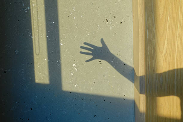 istock Shadow on a wall in sunny room 2224561076
