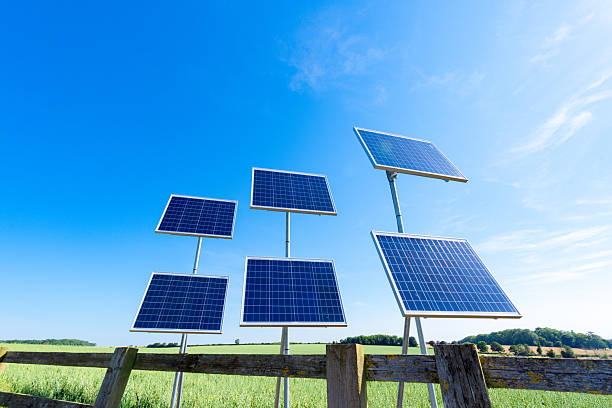 Solar panels are capturing sunlight in a green field, providing sustainable energy under a clear blue sky
