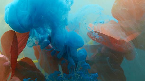 image of orchid in the water with multi coloured ink