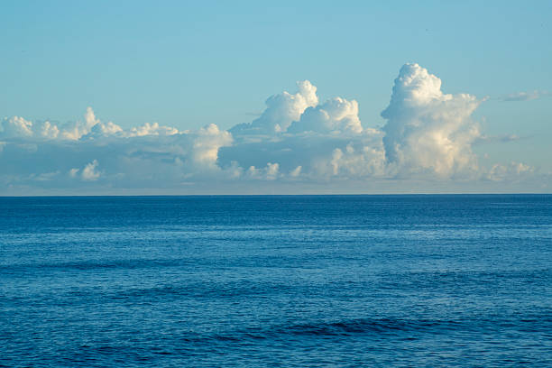 A summer morning scene on Amami Oshima Island.