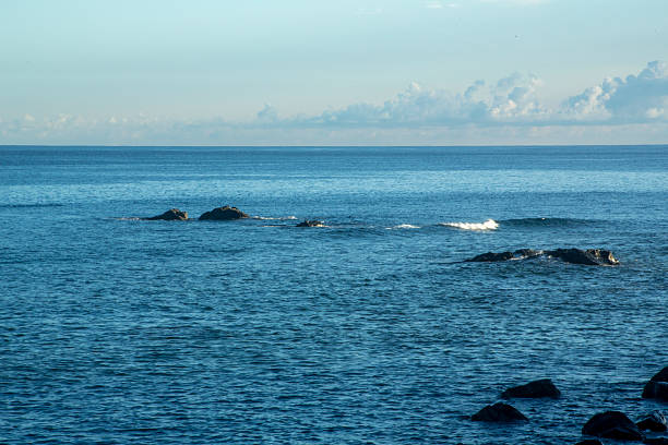 A summer morning scene on Amami Oshima Island.