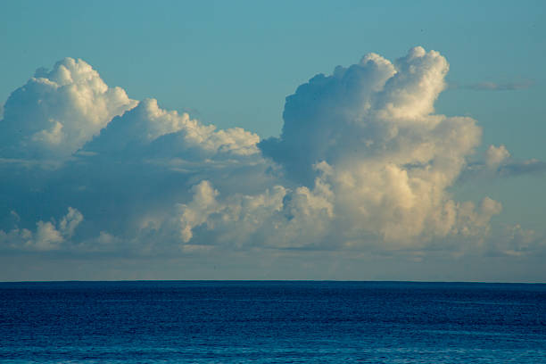 A summer morning scene on Amami Oshima Island.