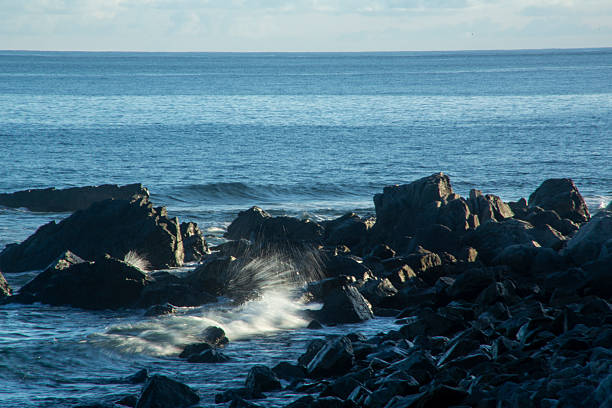A summer morning scene on Amami Oshima Island.