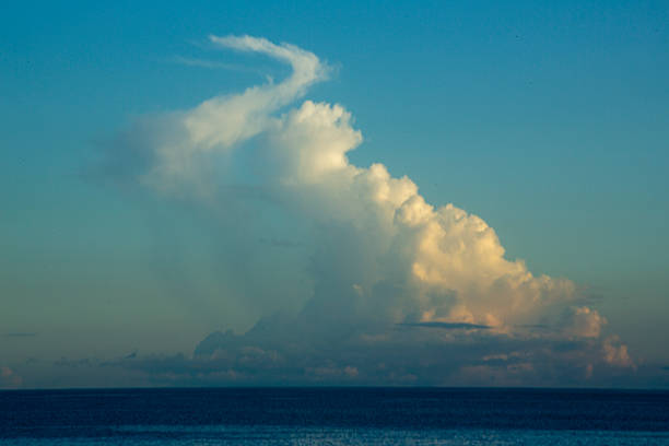 A summer morning scene on Amami Oshima Island.