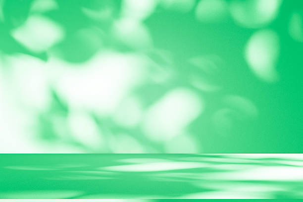 istock Studio style background wall decoration presentation uses white and green tones. with shadows cast from a nearby window, concept creating a decorative 2224571496