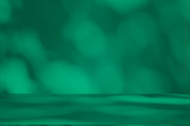 istock Studio style background wall decoration presentation uses white and green tones. with shadows cast from a nearby window, concept creating a decorative 2224571512